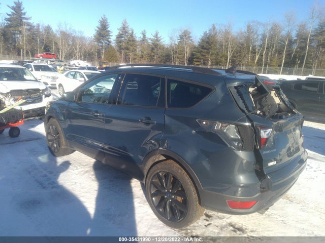2019 Ford Escape, VIN: 1FMCU9GD7KUA64896