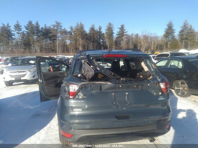 2019 Ford Escape, VIN: 1FMCU9GD7KUA64896