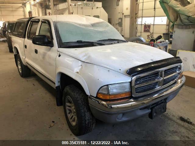 Dodge DAKOTA SLT 2004 1D7HG48N34S651595 главное изображение