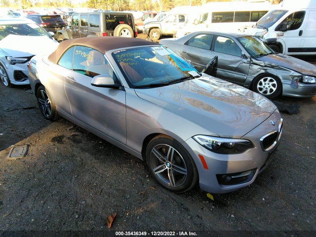 2017 BMW 2 SERIES 230I XDRIVE VIN: WBA2M9C36HV717702