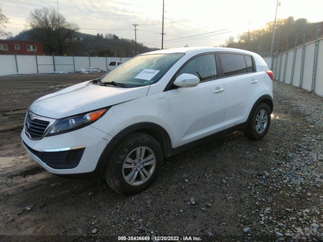 2011 KIA SPORTAGE LX VIN: KNDPBCA25B7098141