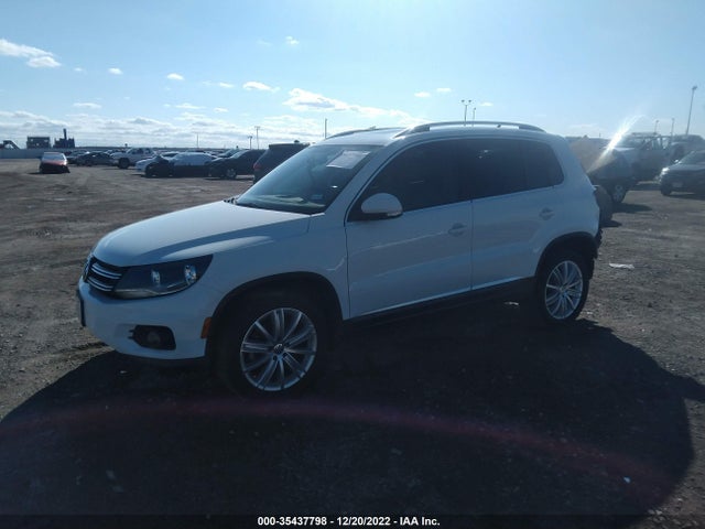 WVGBV7AX8FW555083 Volkswagen Tiguan Sel