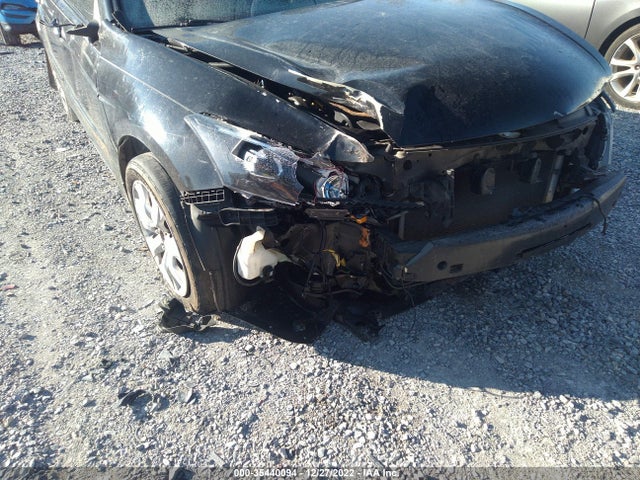2010 HONDA ACCORD SDN EX-L VIN: 5KBCP3F84AB007951