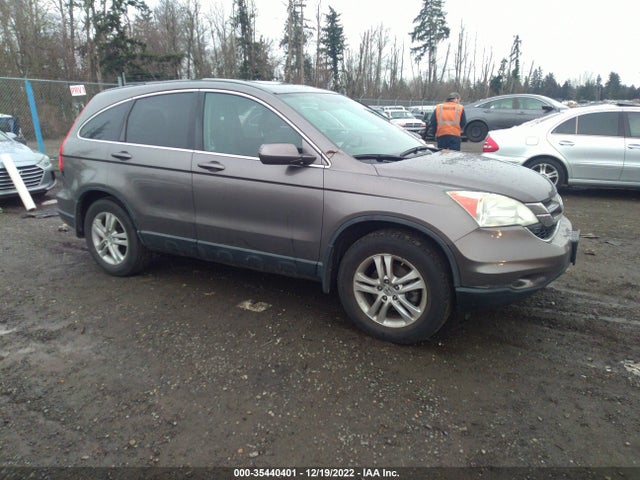 2010 HONDA CR-V EX-L VIN: 5J6RE4H78AL018337