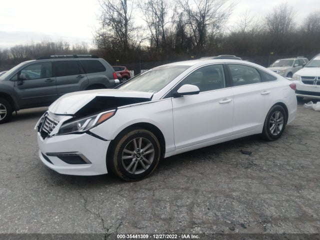 2015 HYUNDAI SONATA 2.4L SE VIN: 5NPE24AF3FH031362