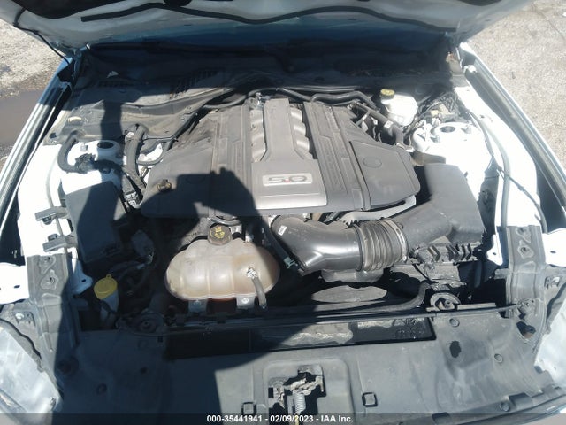 2019 FORD MUSTANG GT VIN: 1FA6P8CF6K5103827