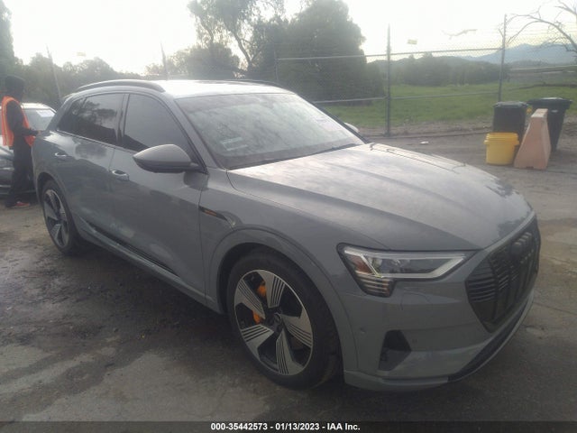2022 Audi e-tron, VIN: WA1LABGE1NB043629