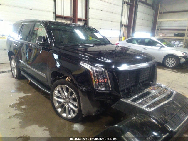 2020 Cadillac Escalade, VIN: 1GYS4BKJ0LR247480