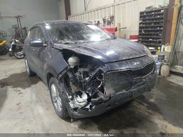 2019 Kia Sportage, VIN: KNDPMCAC3K7502251