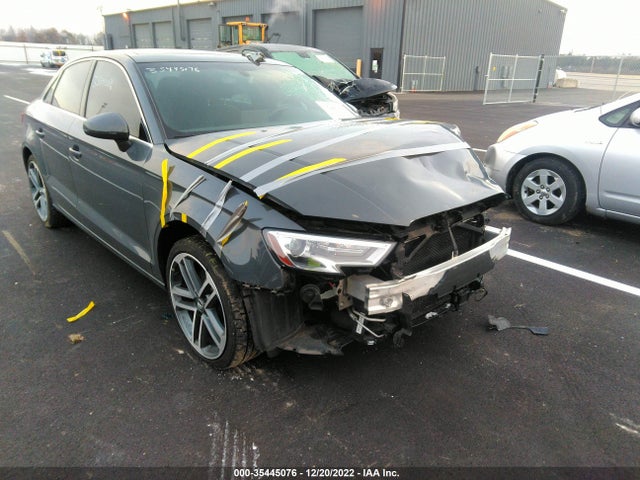 2019 Audi A3, VIN: WAUAUGFF1KA082411