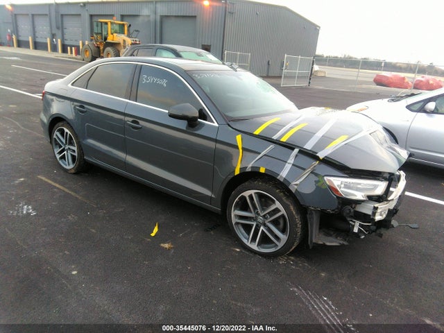 2019 Audi A3, VIN: WAUAUGFF1KA082411