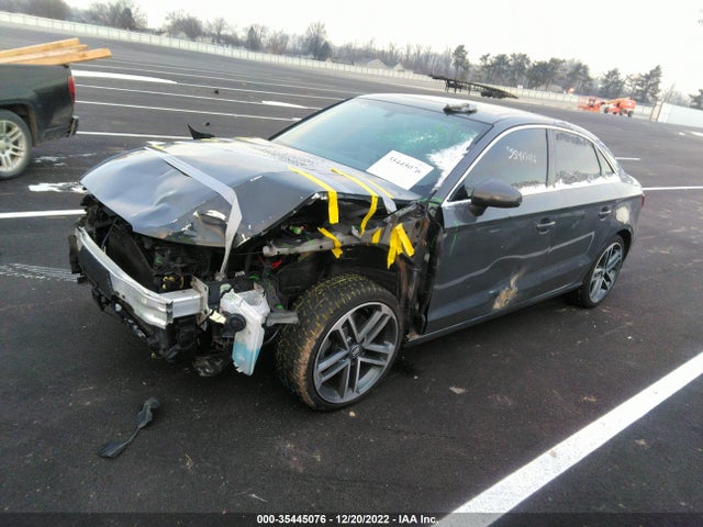 2019 Audi A3, VIN: WAUAUGFF1KA082411