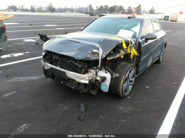 2019 Audi A3, VIN: WAUAUGFF1KA082411