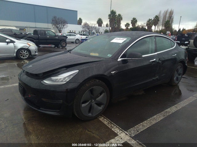 Tesla Model 3 Range 2019 5YJ3E1EA9KF415599 Image 2