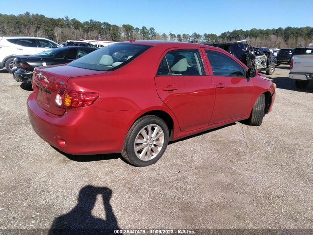 2010 TOYOTA COROLLA VIN: 2T1BU4EE8AC364070
