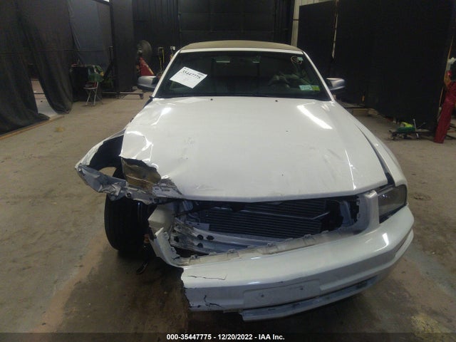 2008 FORD MUSTANG DELUXE/PREMIUM VIN: 1ZVHT84N185146076
