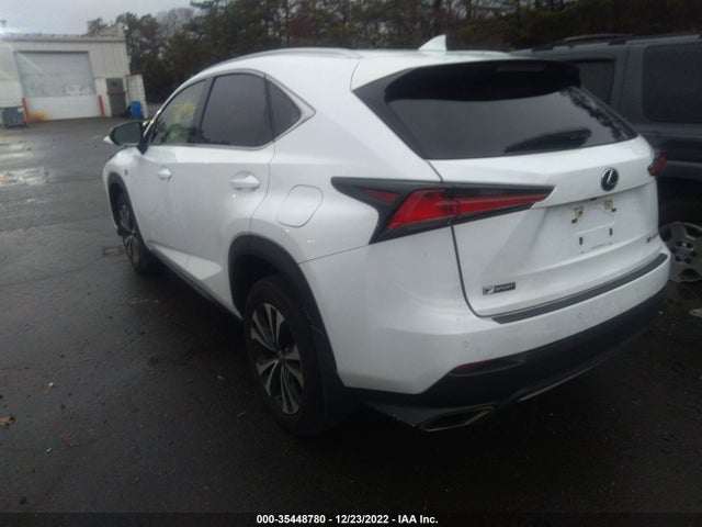 2020 Lexus NX, VIN: JTJSARDZ4L5018430