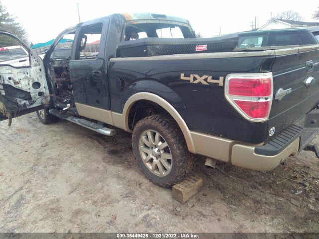 2010 FORD F-150 XL/XLT VIN: 1FTFW1CV0AKB23342