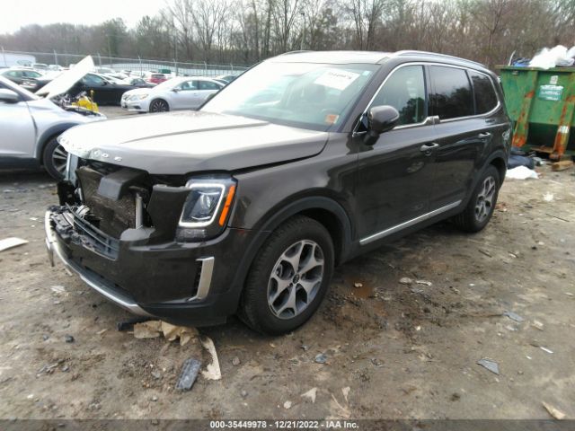 5XYP34HC4LG008953 KIA Telluride Ex