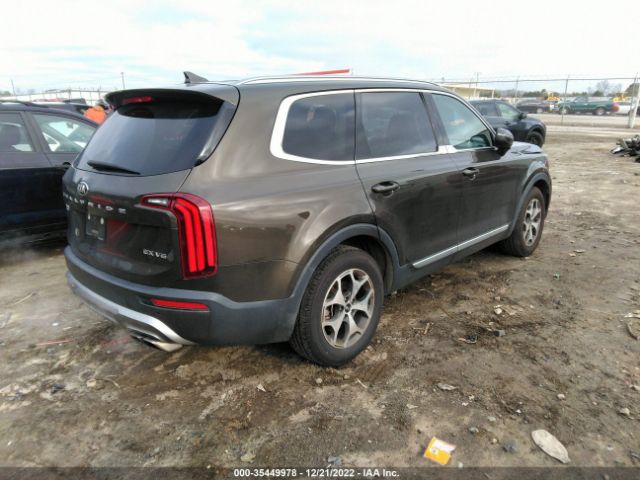 5XYP34HC4LG008953 KIA Telluride Ex