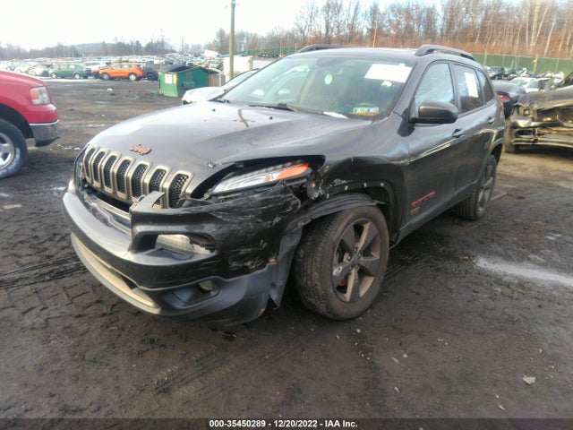 1C4PJMCBXGW253446 Jeep Cherokee 75th Anniversary