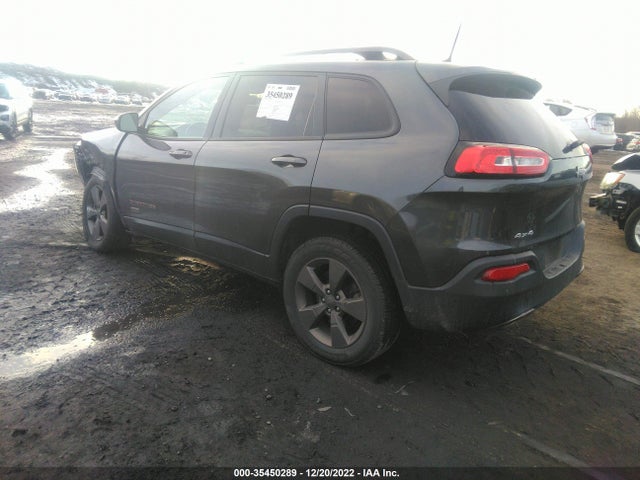 1C4PJMCBXGW253446 Jeep Cherokee 75th Anniversary