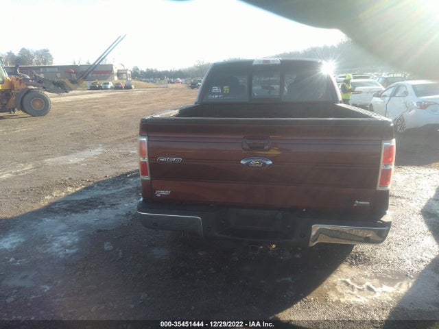 2010 FORD F-150 XL/XLT/FX4/LARIAT VIN: 1FTFW1EV8AFD83767