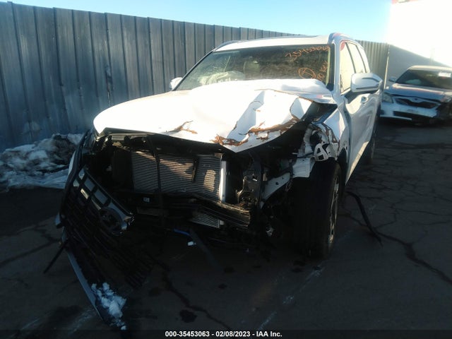 2023 Hyundai Palisade, VIN: KM8R5DGE3PU536831