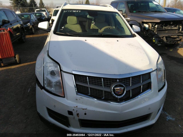 Cadillac Srx Luxury Collection 2011 3GYFNDEY7BS586283 Image 1
