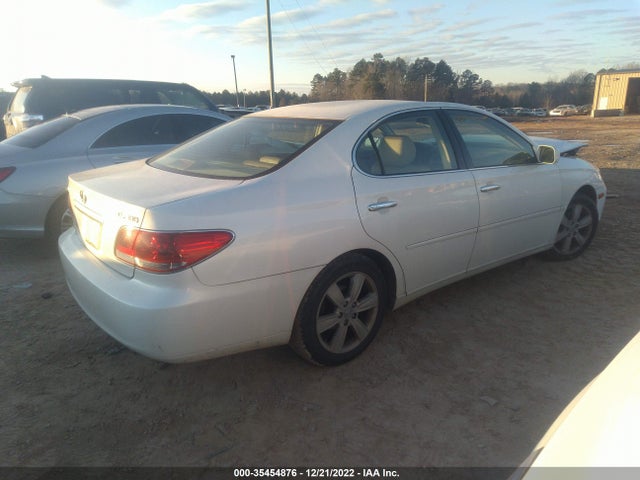 Lexus ES 330 2006 JTHBA30G365169699 Image 5