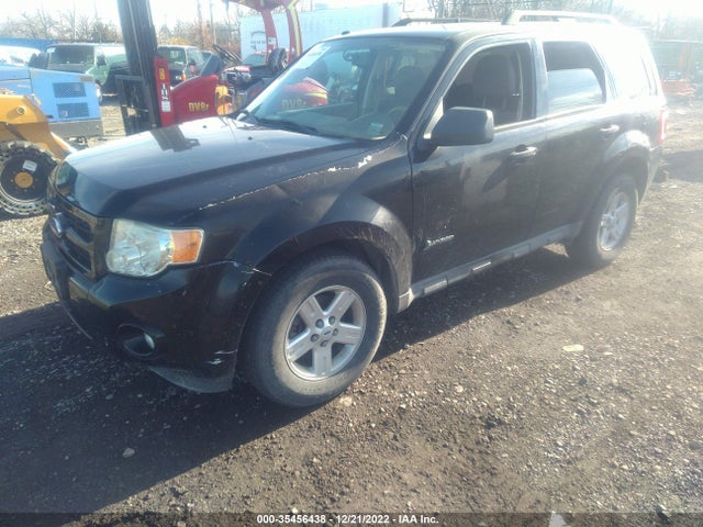 2009 FORD ESCAPE HYBRID VIN: 1FMCU59319KB61448