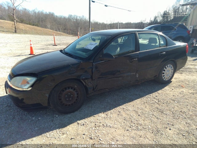 2005 CHEVROLET MALIBU BASE VIN: 1G1ZS54825F170159