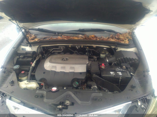 Acura Zdx Advance Pkg 2010 2HNYB1H64AH503498 Image 12