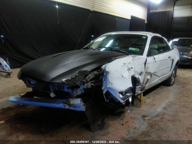 2004 FORD MUSTANG DELUXE/PREMIUM VIN: 1FAFP44644F215658