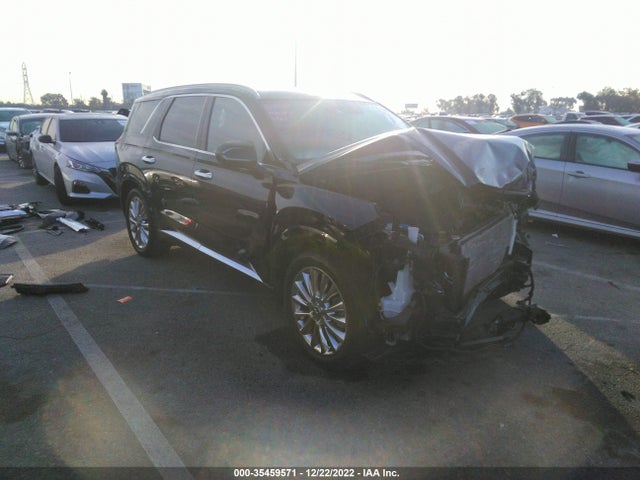 2020 Hyundai Palisade, VIN: KM8R54HEXLU094350