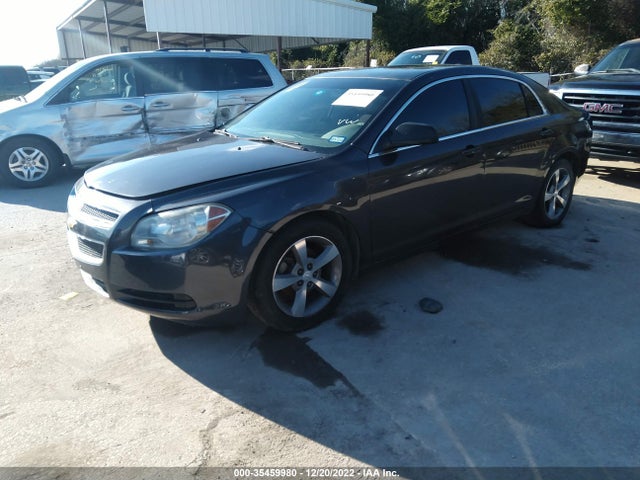 2010 CHEVROLET MALIBU LS W/1FL VIN: 1G1ZA5E02AF255184