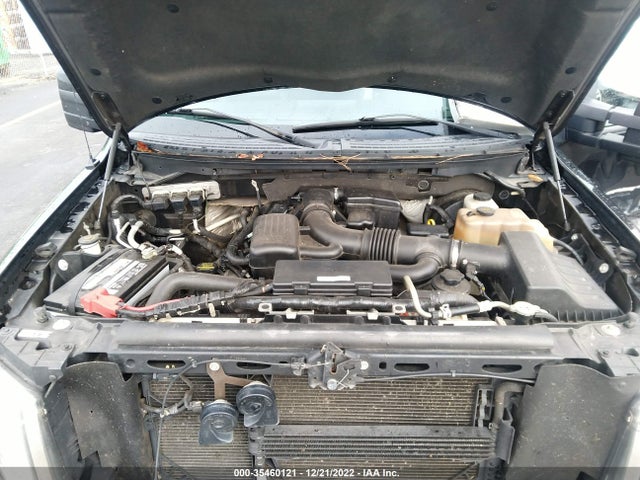 2010 FORD F-150 XL/XLT VIN: 1FTFW1CV7AFB75642