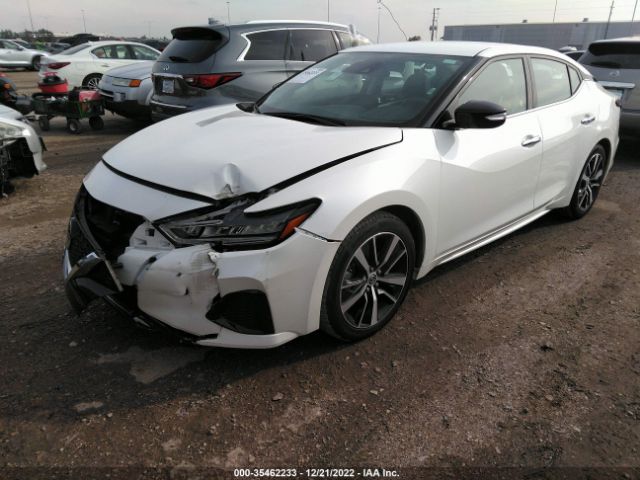 1N4AA6CV8NC504139 Nissan MAXIMA SV