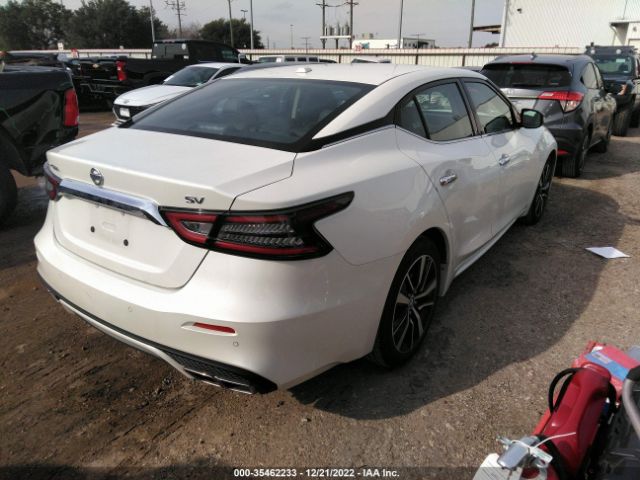 1N4AA6CV8NC504139 Nissan MAXIMA SV