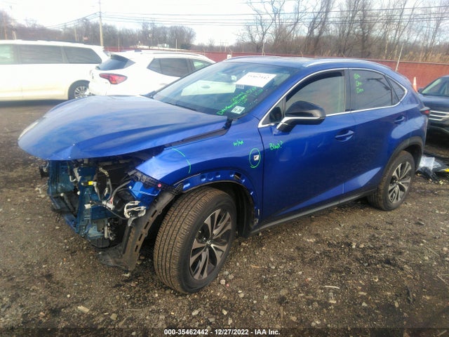 2021 Lexus NX, VIN: JTJSARDZ2M2264153