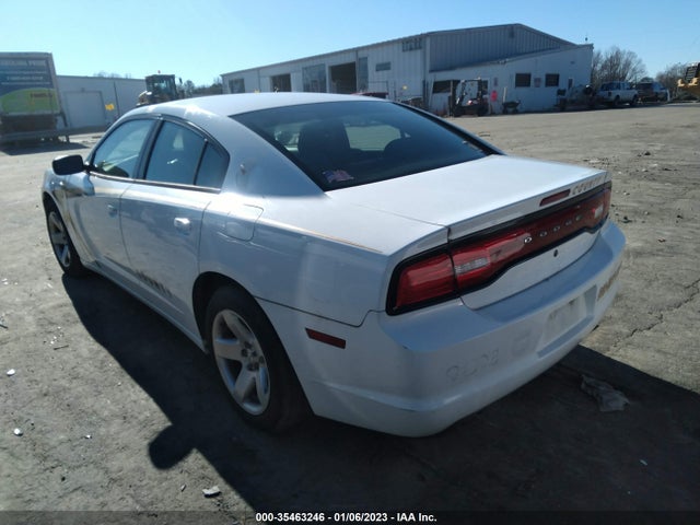 2014 DODGE CHARGER POLICE VIN: 2C3CDXAT7EH350395