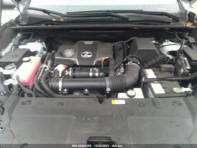 2020 Lexus NX, VIN: JTJJARBZ1L5015466