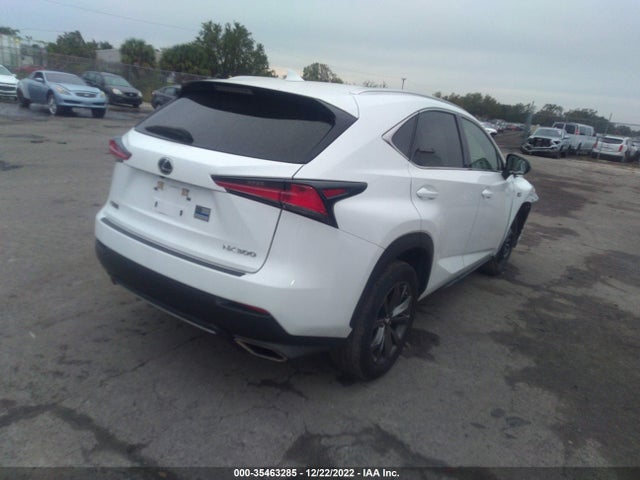 2020 Lexus NX, VIN: JTJJARBZ1L5015466