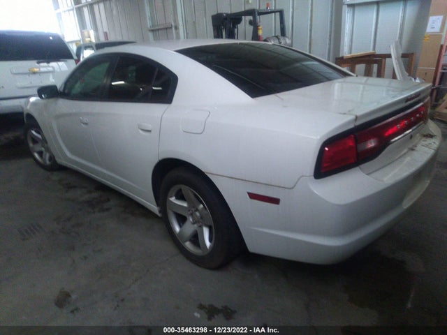Dodge Charger Police 2014 2C3CDXAT3EH350376 Image 3