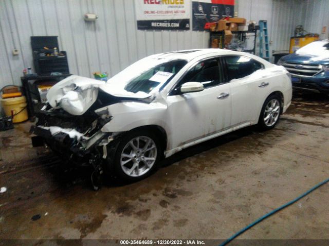 1N4AA5AP1EC483584 Nissan Maxima 3.5 Sv