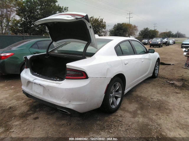 Dodge Charger Sxt Plus 2018 2C3CDXHG8JH337061 Image 4