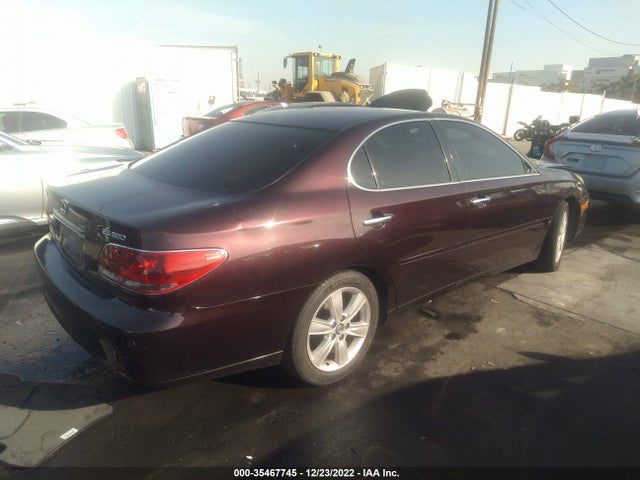 Lexus ES 330 2005 JTHBA30G055139784 Image 5
