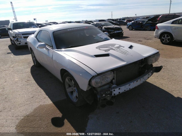 Dodge Challenger Sxt 2013 2C3CDYAG2DH607387 zdjęcie główne