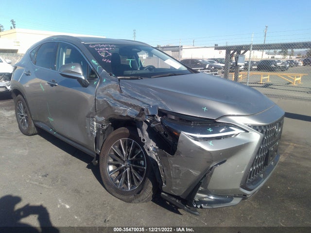 2022 Lexus NX, VIN: JTJGKCEZ2N2004304