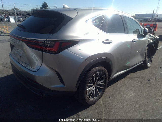 2022 Lexus NX, VIN: JTJGKCEZ2N2004304